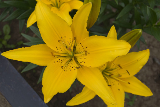 527408 (a): :2048x1360